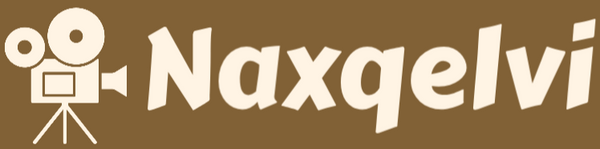 Logo with a film camera icon and the text 'Naxqelvi' on a brown background